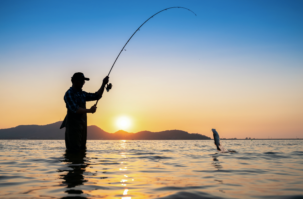 Proven Lure Techniques for Bass Fishing